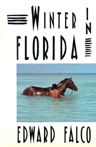 Winter in Florida