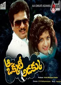 Aa Okkati Adakku (Telugu) (1992)